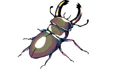 Dancing Beetle Icon